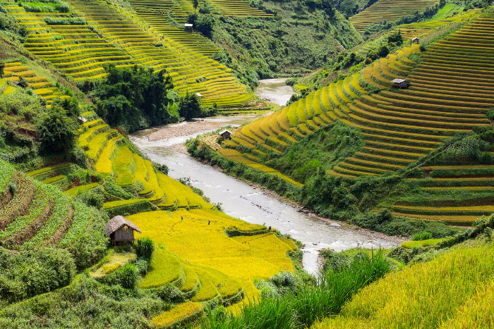 Les rizières en terrasses de Sapa