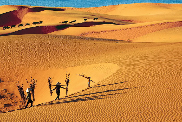 Dune de sable rouge de Mui Ne