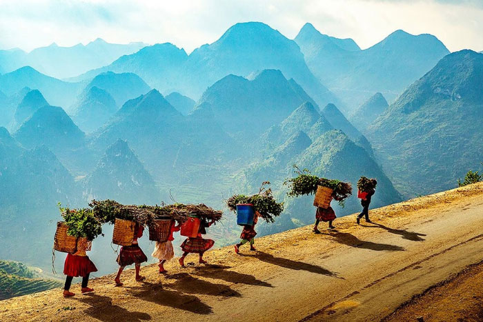 Haut plateau rocheux de Ha Giang