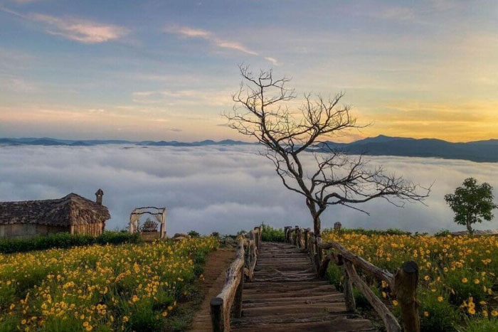 Vue sur la montagne de Dalat