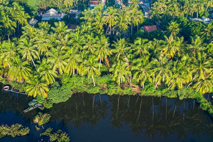 Ben Tre, une belle destination dans la région du Delta du Mékong