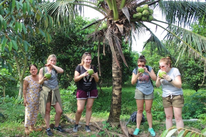 Explorez le paradis des fruits et dégustez de l'eau de coco fraîche