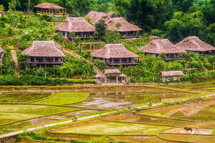 Mai Chau, une oasis rizicole dans la région nord-ouest du Vietnam