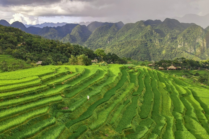 Que faire au Vietnam en 3 semaines ? Pu Luong pour les amoureux de la nature