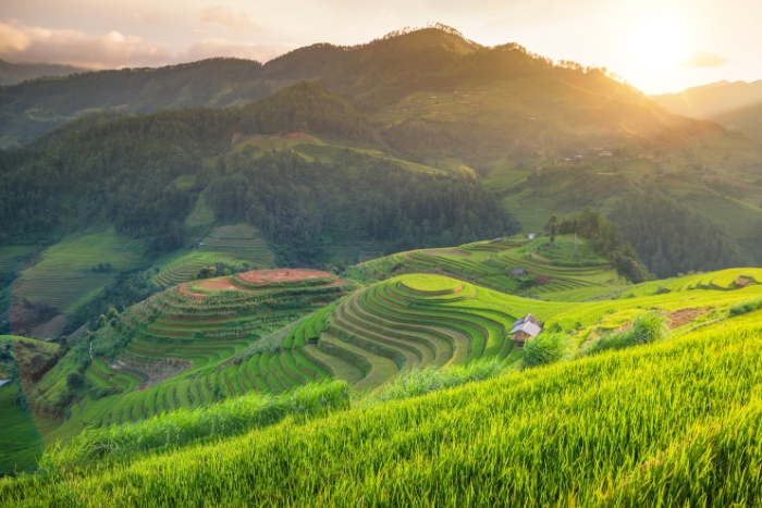 Mu Cang Chai - beau comme une peinture à travers les saisons