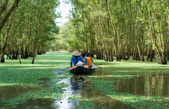 Que Faire Au Vietnam Du Sud ? Top Des Meilleures Activités à Découvrir