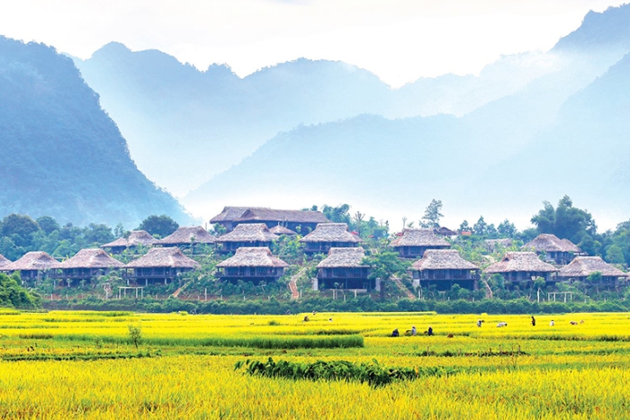 Beauté paisible à Mai Chau Hoa Binh