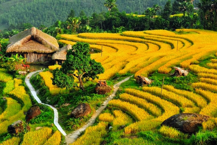 Ta Phin - Beauté authentique des villages de montagne