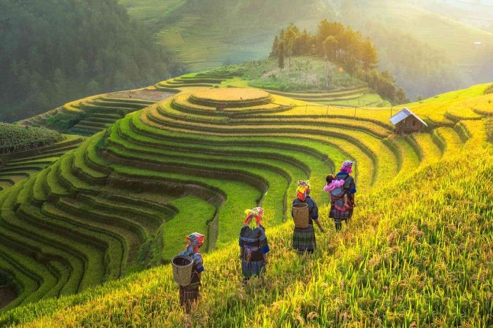 O&ugrave; aller au Vietnam en octobre ? Itin&eacute;raire centr&eacute; sur le Nord est une bonne id&eacute;e