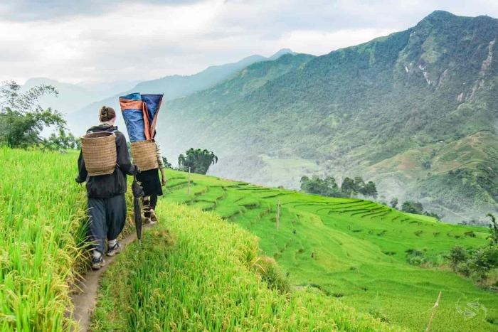 Budget voyage Vietnam entre amis