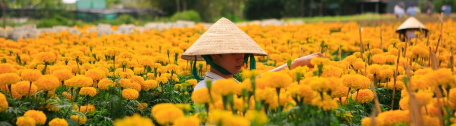 Vietnam 2 semaines en f&eacute;vrier - que savoir avant de partir ?