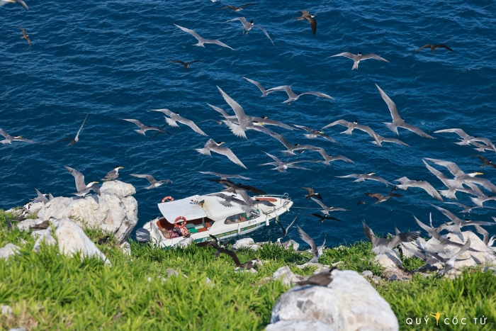 Plages turquoise préservées à Con Dao