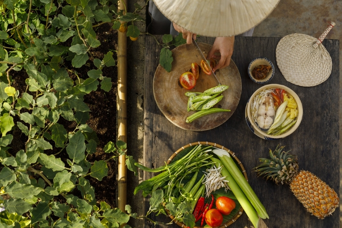 Vietnam gastronomique 2 semaines