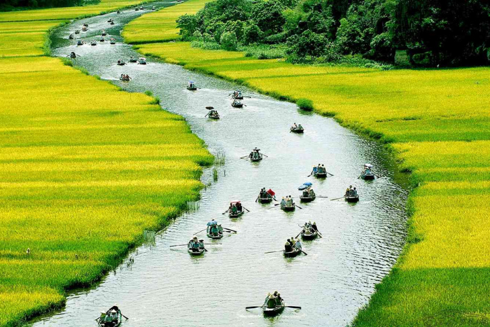 Balade en bateau à Tam Coc, Ninh Binh