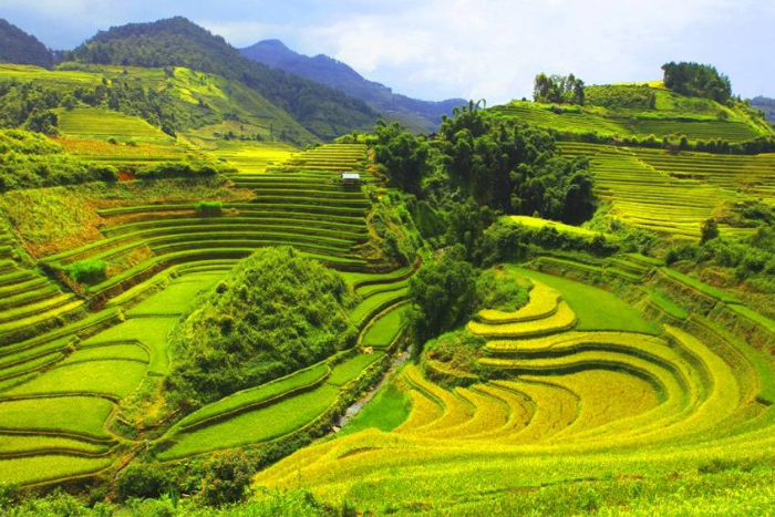 Admirer les rizières en terrasses à Mai Chau - une chose incontournable lors de votre voyage au Vietnam
