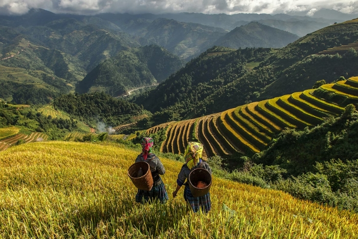 Sapa dans votre voyage au Vietnam en été 