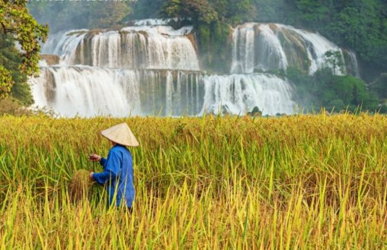Vietnam Nature 2 Semaines - Où Visiter Et Que Voir ?