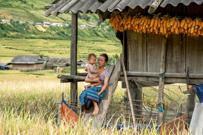 Un Vietnam nature 2 semaines entre paysages, culture et rencontres humaines
