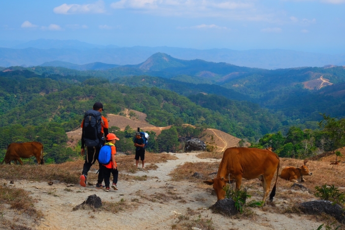 La nature sauvage des Hauts Plateaux du Vietnam est id&eacute;ale pour faire du trekking