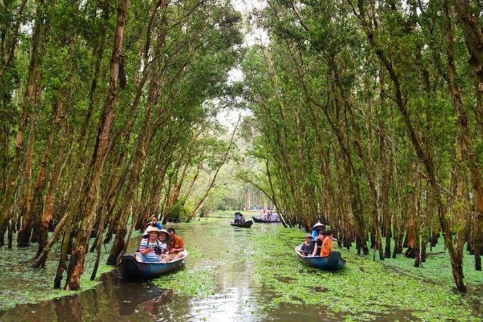 For&ecirc;t de cajeput de Tra Su, Chau Doc, Delta du M&eacute;kong Vietnam