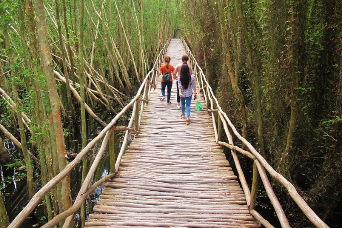 Le village flottant de Tan Lap &agrave; Long An (Delta du M&eacute;kong), avec ses for&ecirc;ts de cajeputiers centenaires