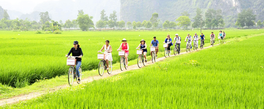 Balade à vélo à Tam Coc Ninh Binh