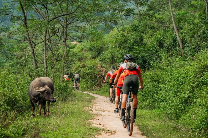 Quels sont les meilleurs circuits &agrave; v&eacute;lo au Vietnam ?