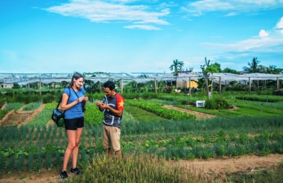 Voyage Agricole Au Vietnam En 3 Jours - Avis De Eloise