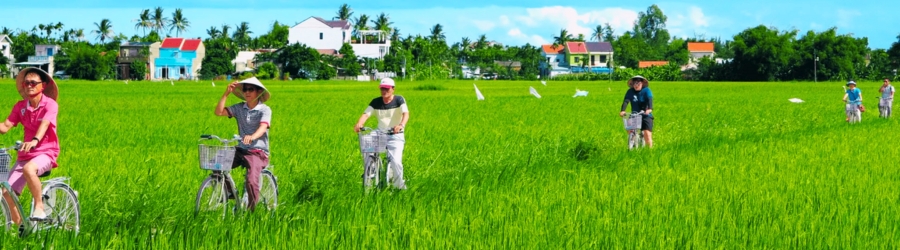 Voyage agricole au Vietnam en 3 jours
