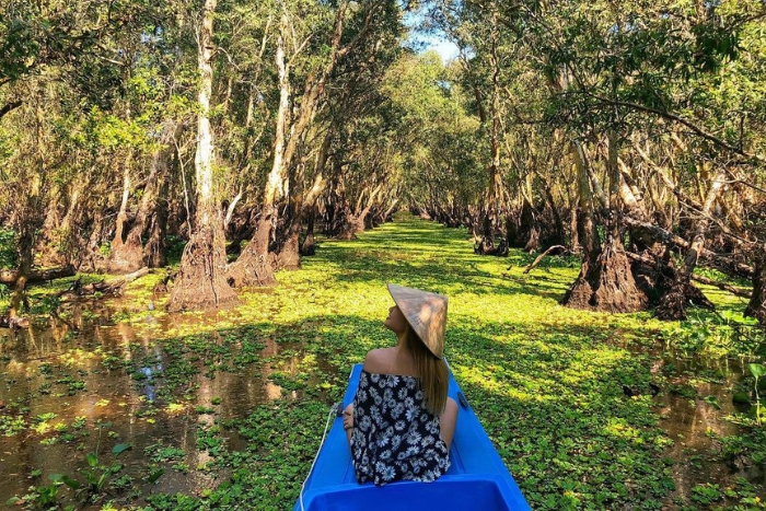 Forêt de cajeputiers de Tra Su, An Giang