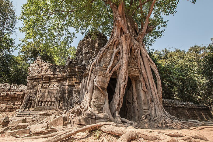 Temple de Ta Som, Cambodge