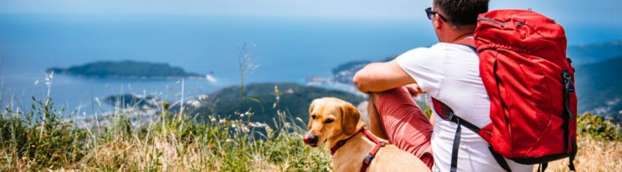 D&eacute;couvrez comment organiser un voyage au Vietnam avec un animal de compagnie