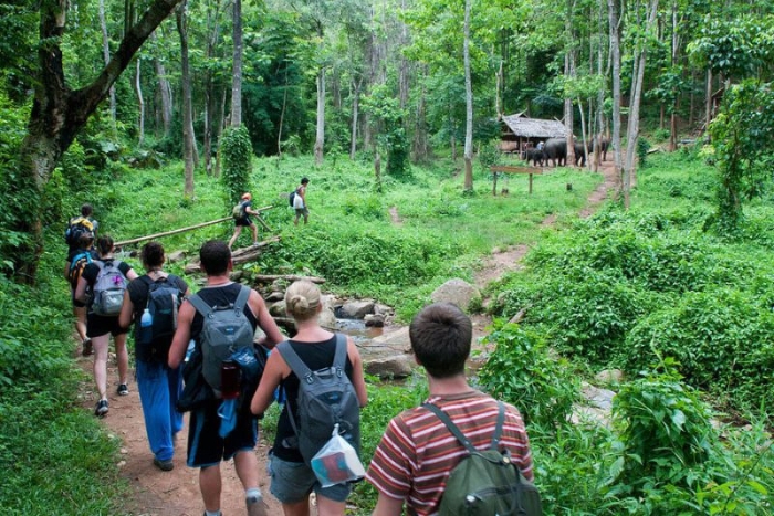 Il est conseill&eacute; de faire du trekking dans la for&ecirc;t avec l&rsquo;accompagnement d&rsquo;un guide