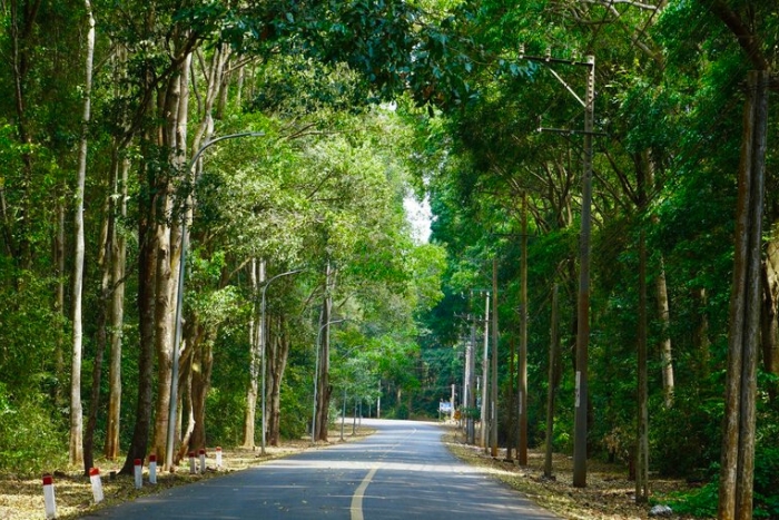 La réserve naturelle de Binh Chau, une destination incontournable pour les amoureux de la nature