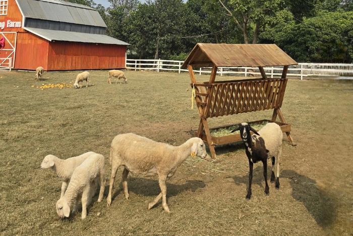  Le Nord - montagnes, rizières et minorités ethniques