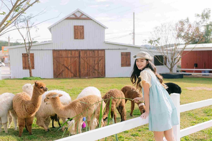 Le Centre - nature paisible et artisanat local