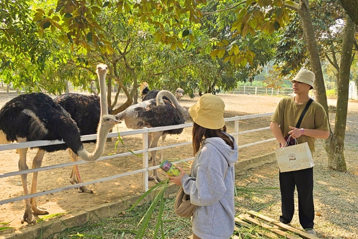Participer aux travaux agricoles et aux soins des animaux