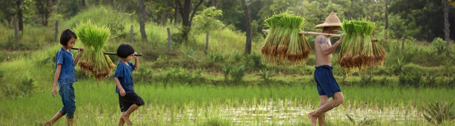 Week-end à la ferme Vietnam