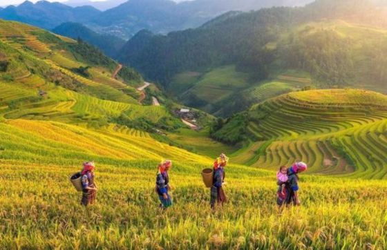 Avis Sur Litinéraire 2 Jours à Yen Bai Au Nord Du Vietnam Par M. Opée