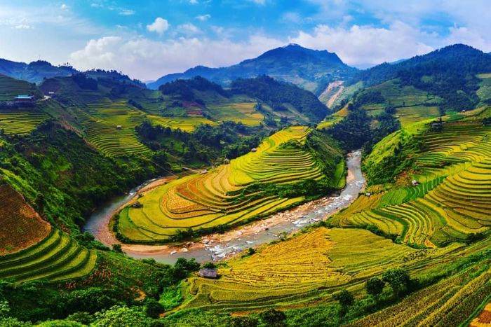 Mu Cang Chai en saison dorée - À ne pas manquer à Yen Bai en 2 jours