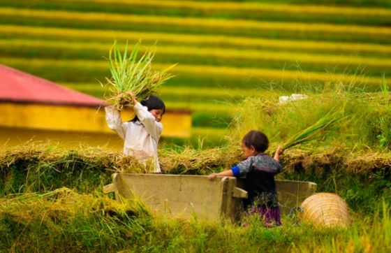Circuit Yen Bai Phu Tho 4 Jours - Que Faire Au Nord Vietnam ?