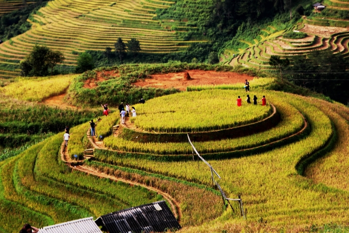 La colline de Mam Xoi, qui abrite l'une des plus belles rizi&egrave;res en terrasses du Nord-Ouest du Vietnam