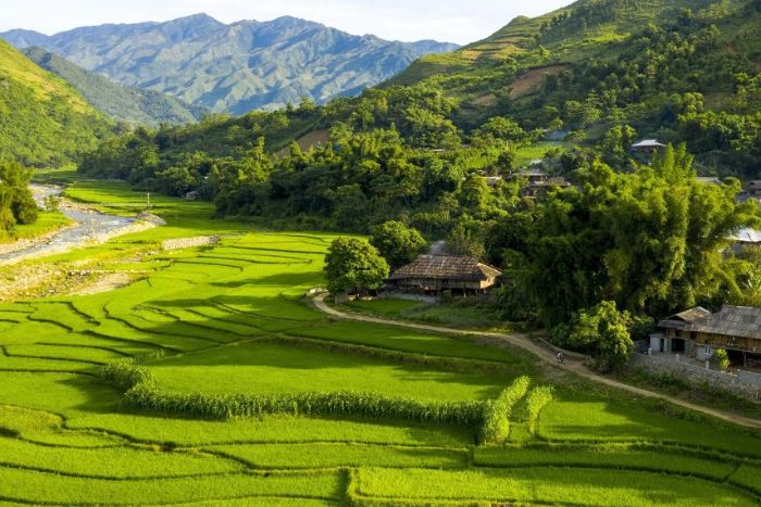 Vallée de Tu Le - À ne pas manquer à Yen Bai en 5 jours