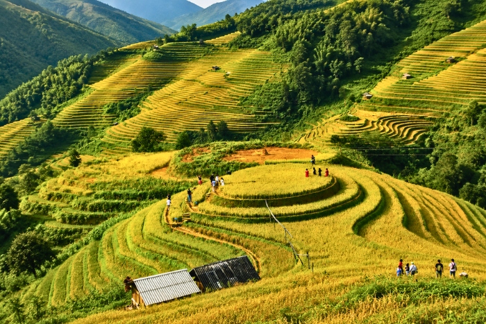 Ascension de la colline de Mam Xoi et vue imprenable sur les rizi&egrave;res