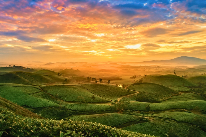 La nature pr&eacute;serv&eacute;e de Phu Tho
