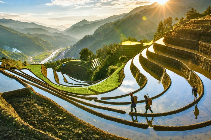 Panorama spectaculaire sur la vall&eacute;e de Muong Lo &agrave; Yen Bai