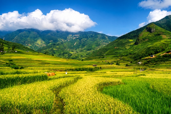 Balade au c&oelig;ur des rizi&egrave;res de la vall&eacute;e de Muong Lo