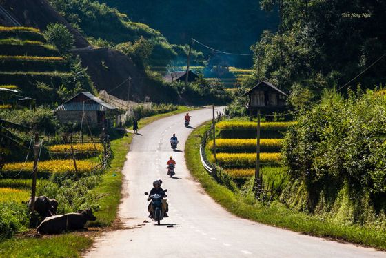 Comment Se Rendre De Hanoï à Mu Cang Chai? Un Guide Pour Les Voyageurs Aventureux