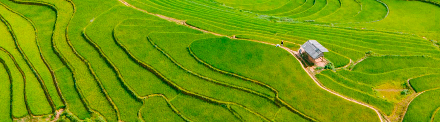 Comment se rendre de Hanoi à Mu Cang Chai?