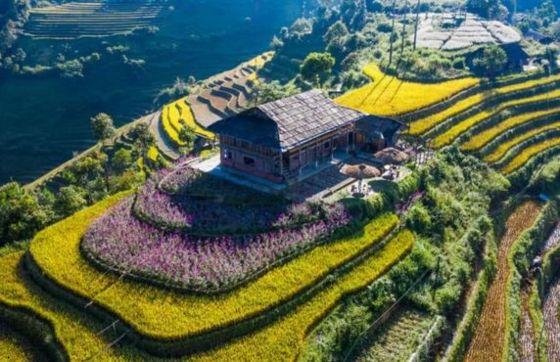 Séjours Chez Lhabitant à Mu Cang Chai: Top 6 Homestays à Mu Cang Chai